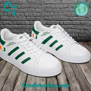 Kirklynnagency Miami Hurricanes Skate Stan Shoes Sneakes For Men And Women 3 (3)
